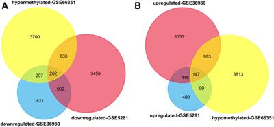 Promoter Hypomethylation of TGFBR3 as a Risk Factor of Alzheimer’s Disease: An Integrated Epigenomic-Transcriptomic Analysis